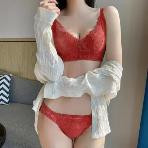 Ladies' Transparent Lace Sexy Lingerie Women'S Sexy Small Breast Collection Bra Set Conjunto De Lenceria Sexys